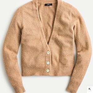 Jcrew sparkle cardigan